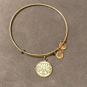 Alex and Ani Bangle